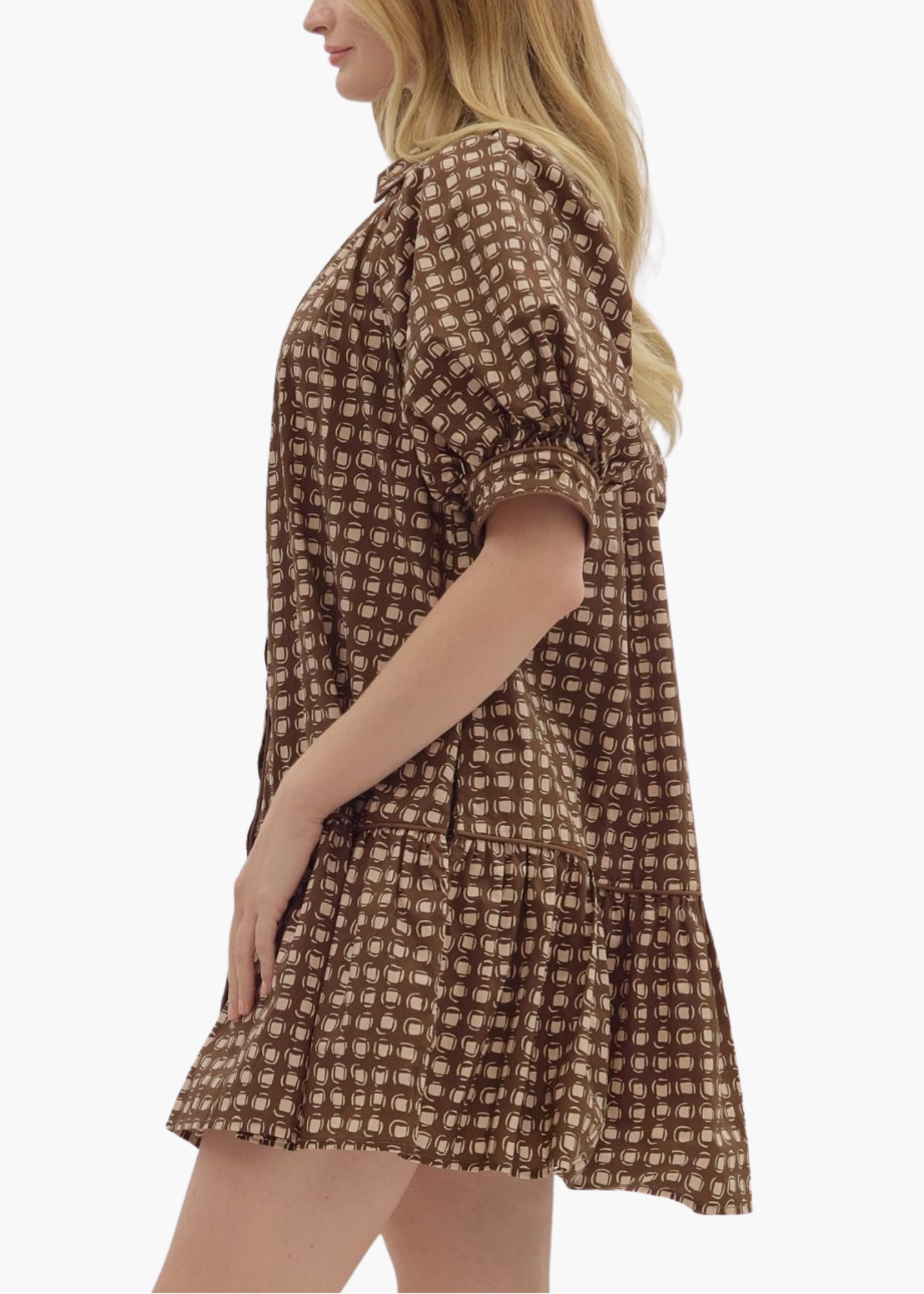 Leighton Mini Dress in Brown