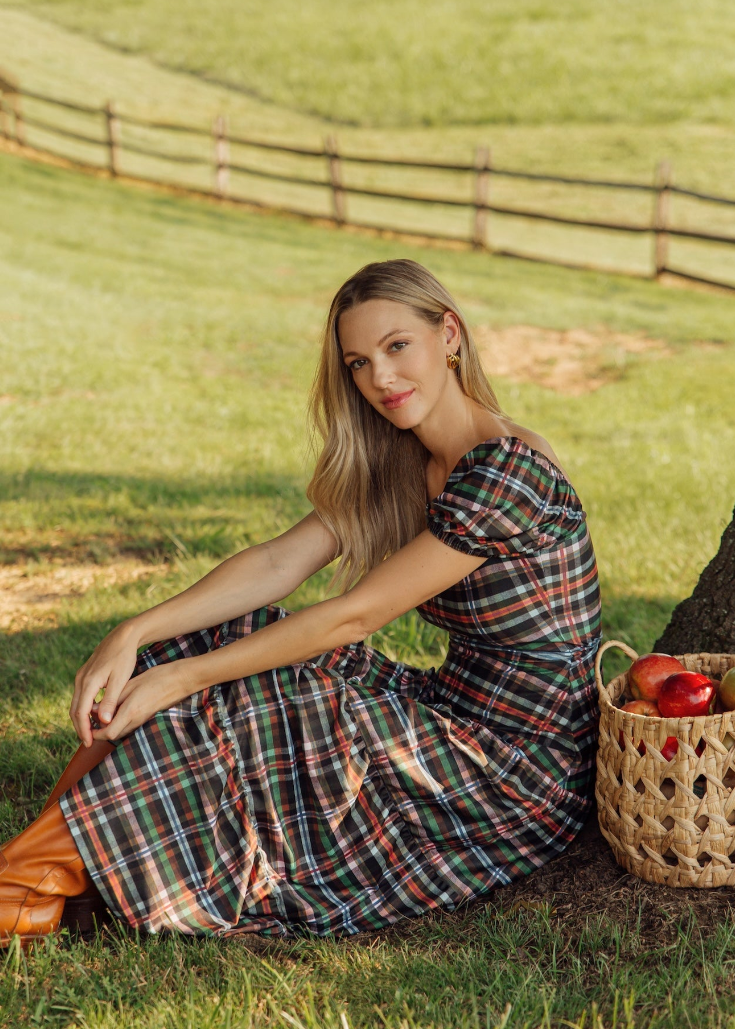 Heidi Dress in Stockholm Plaid