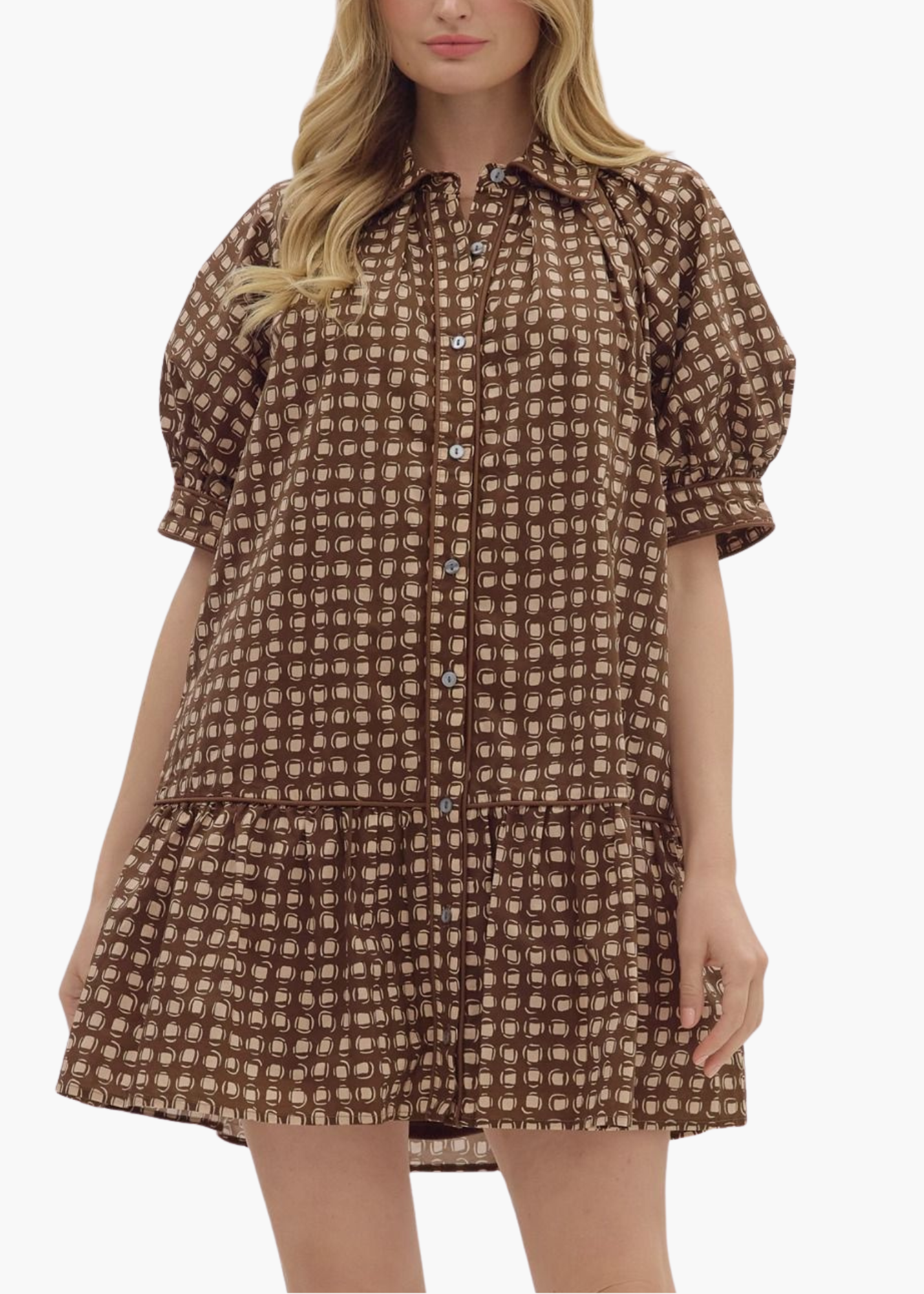Leighton Mini Dress in Brown