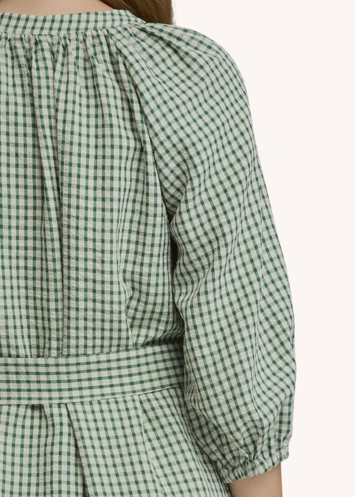 Anderson Mini Dress in Green