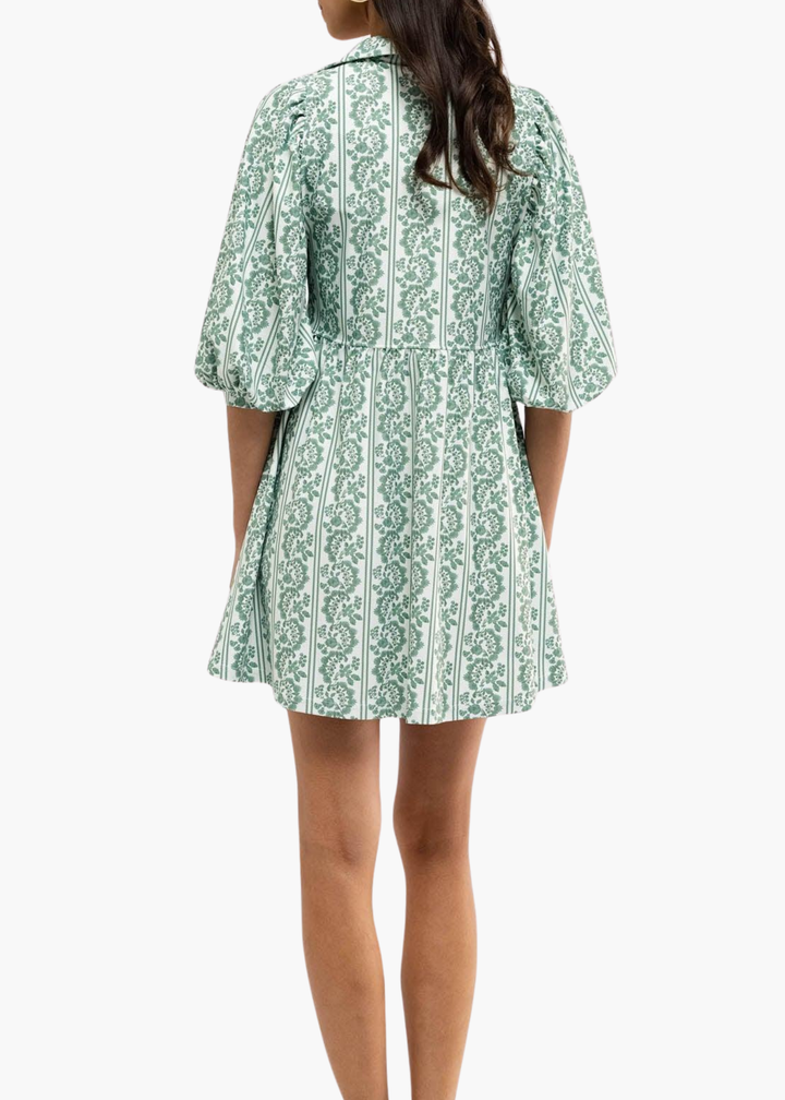 Charlotte Dress in Ivy Twist