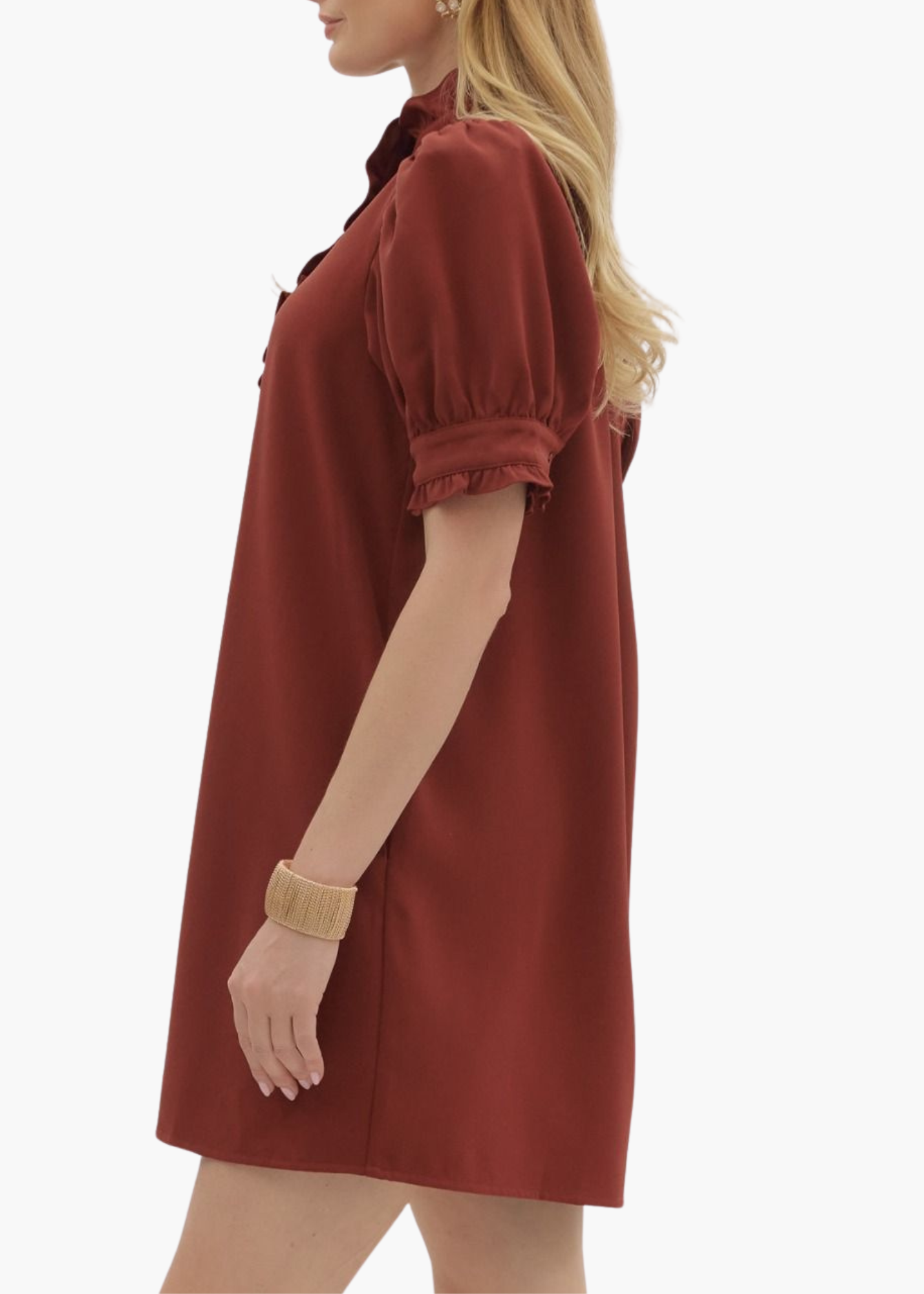 Esther Mini Dress in Brick