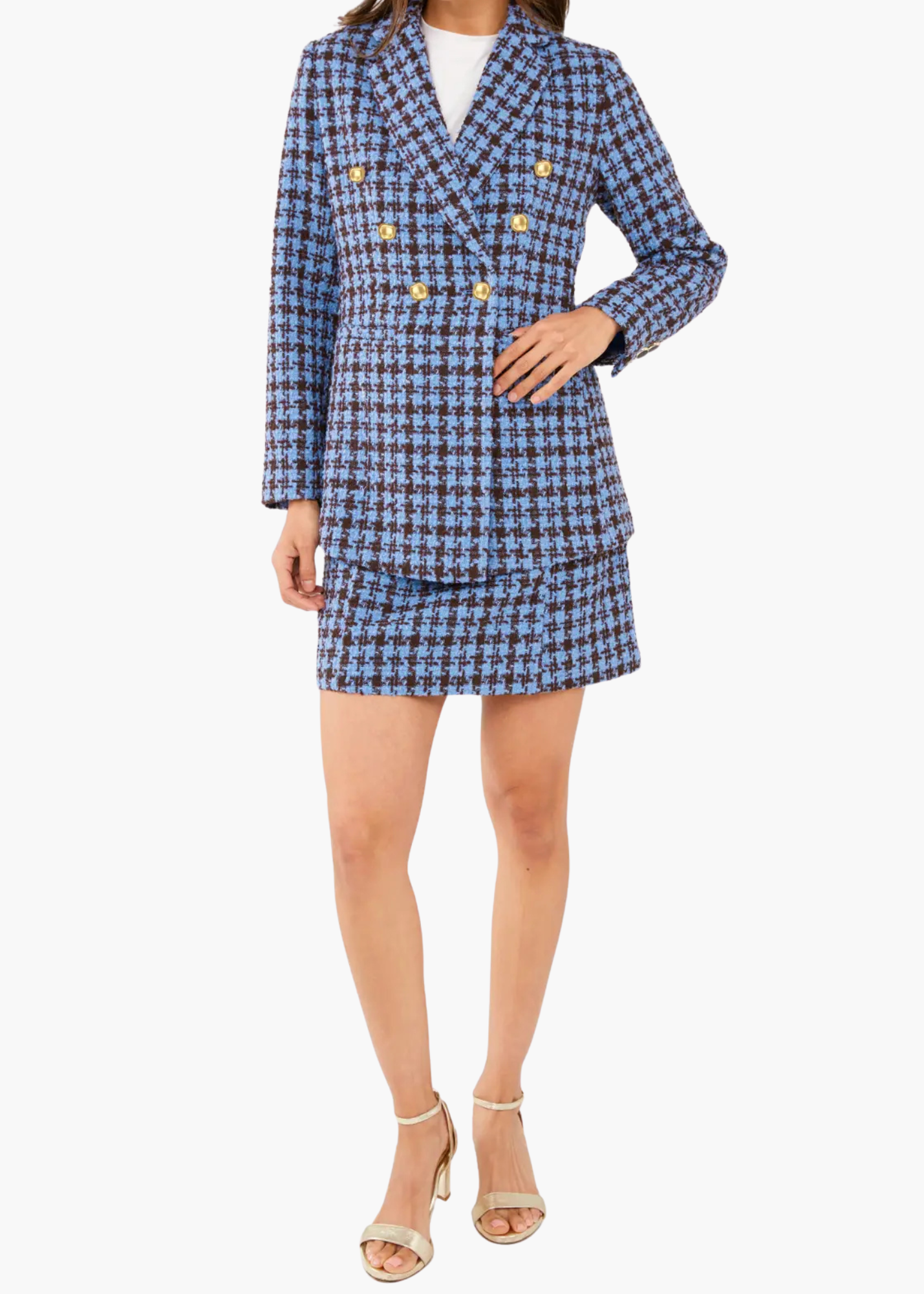 Jessica Skirt Blue and Brown Houndstooth Tweed