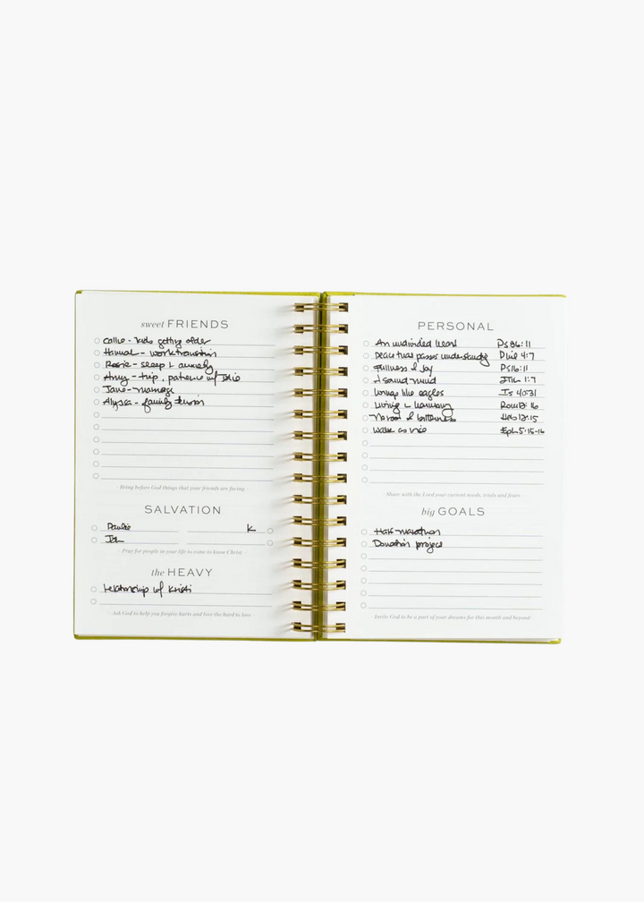 Six Month Undated Prayer Journal in Orchid