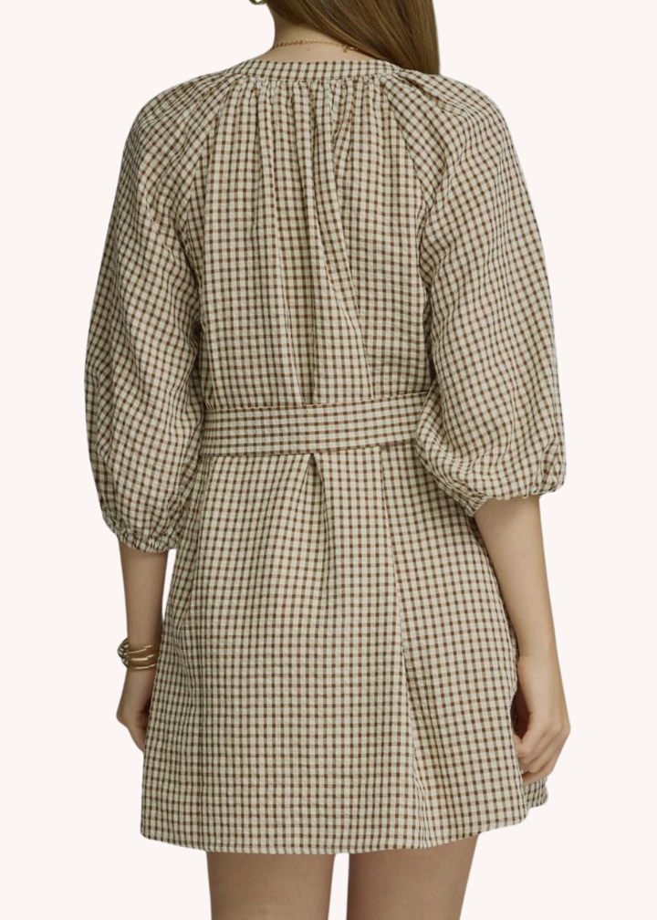Anderson Mini Dress in Brown