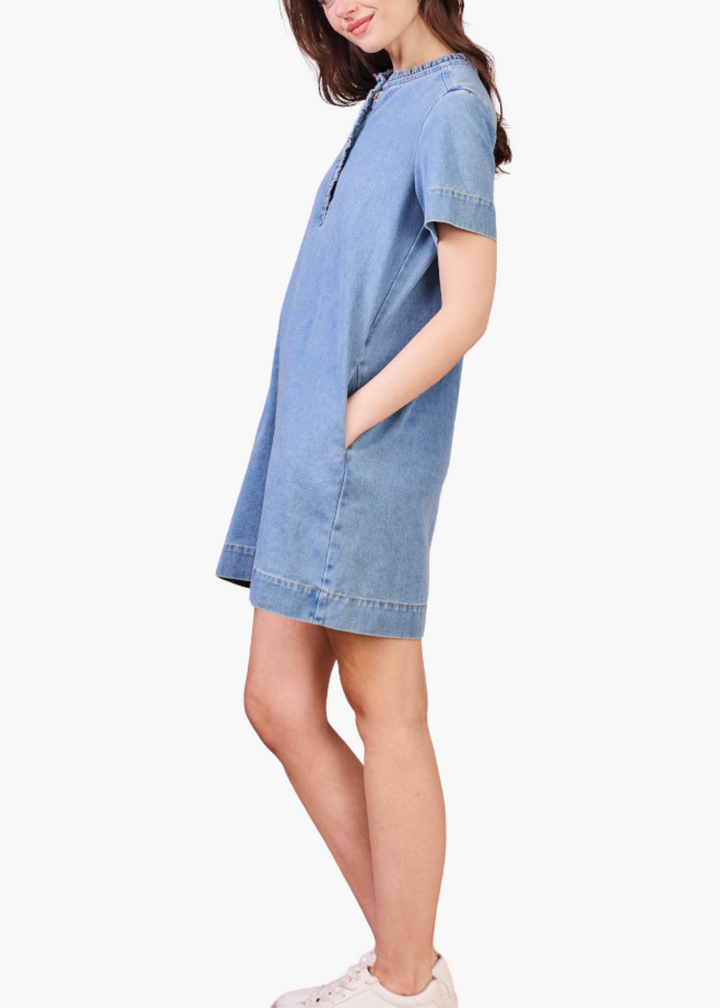 Etienne Denim Dress