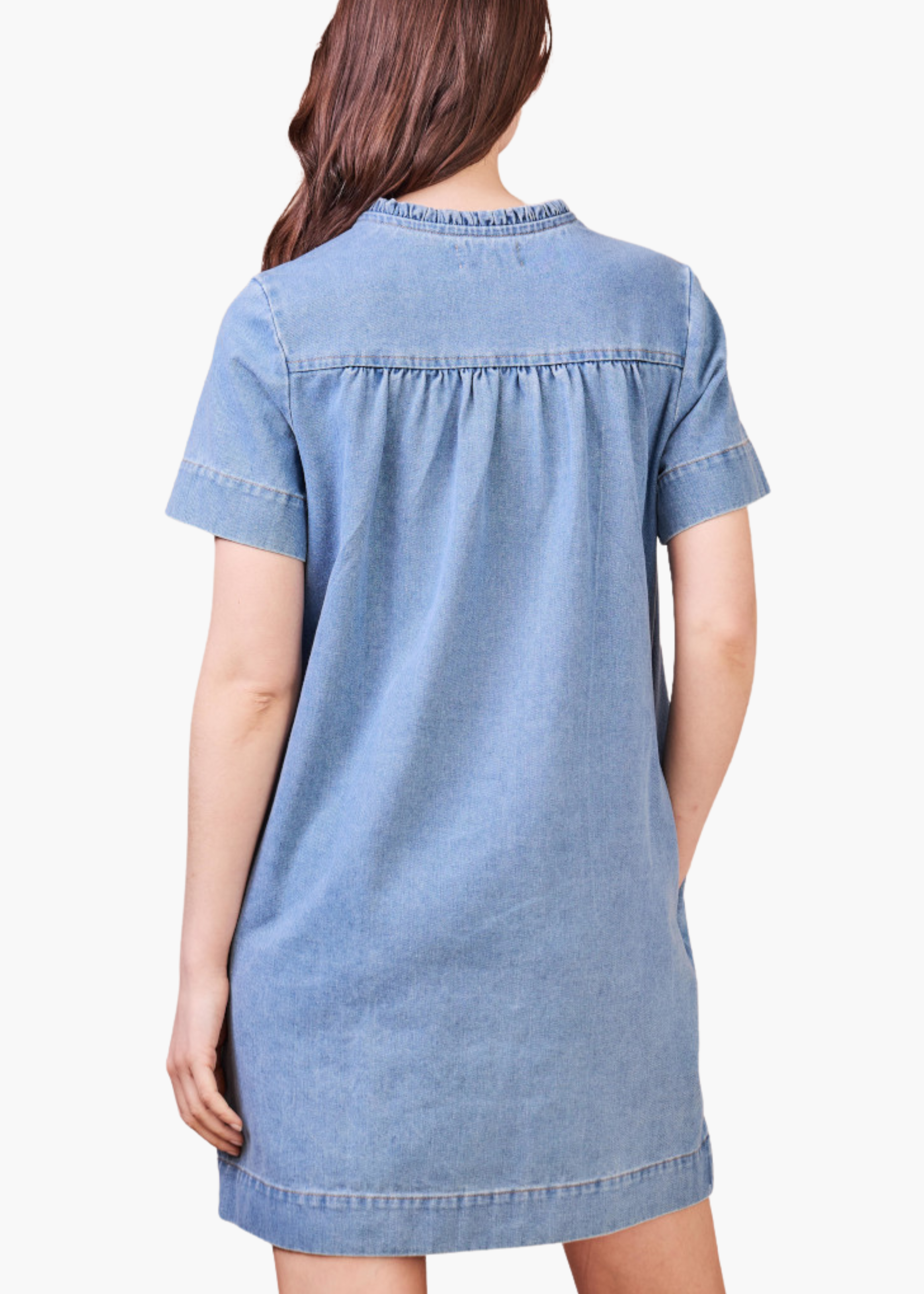 Etienne Denim Dress