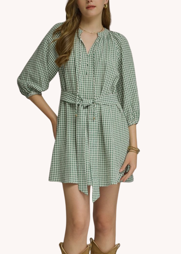 Anderson Mini Dress in Green
