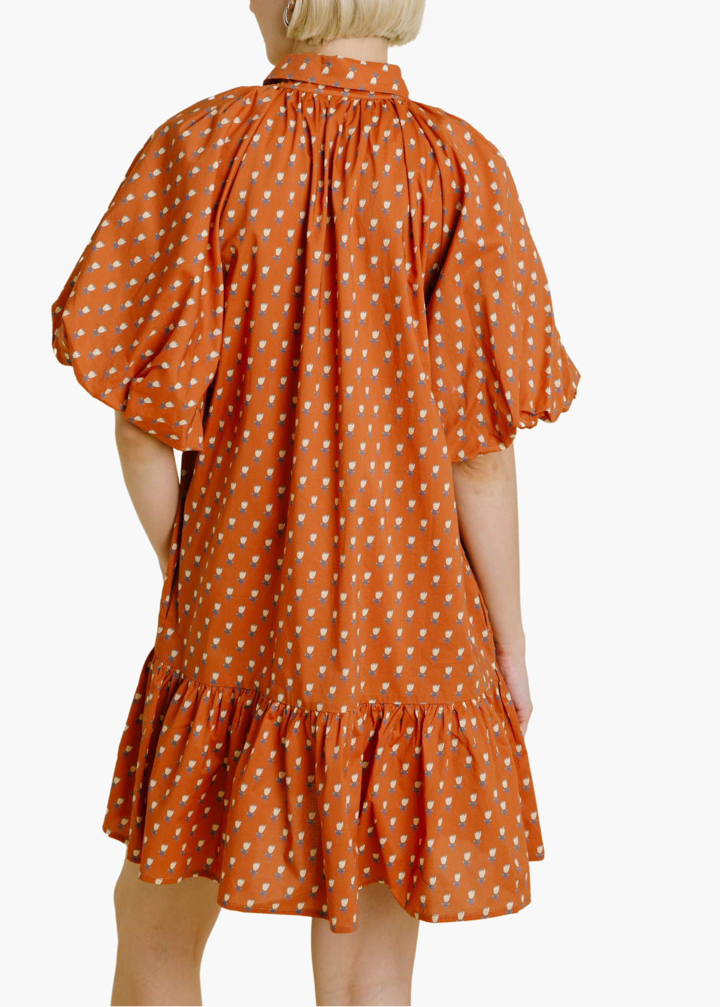 Callie Floral Drop Waist Shirt Dress in Terracotta