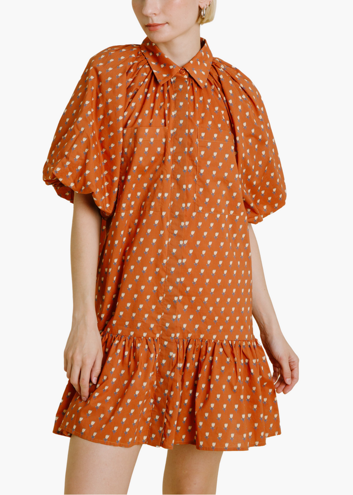 Aureum Callie Floral Drop Waist Shirt Dress in Terracotta S