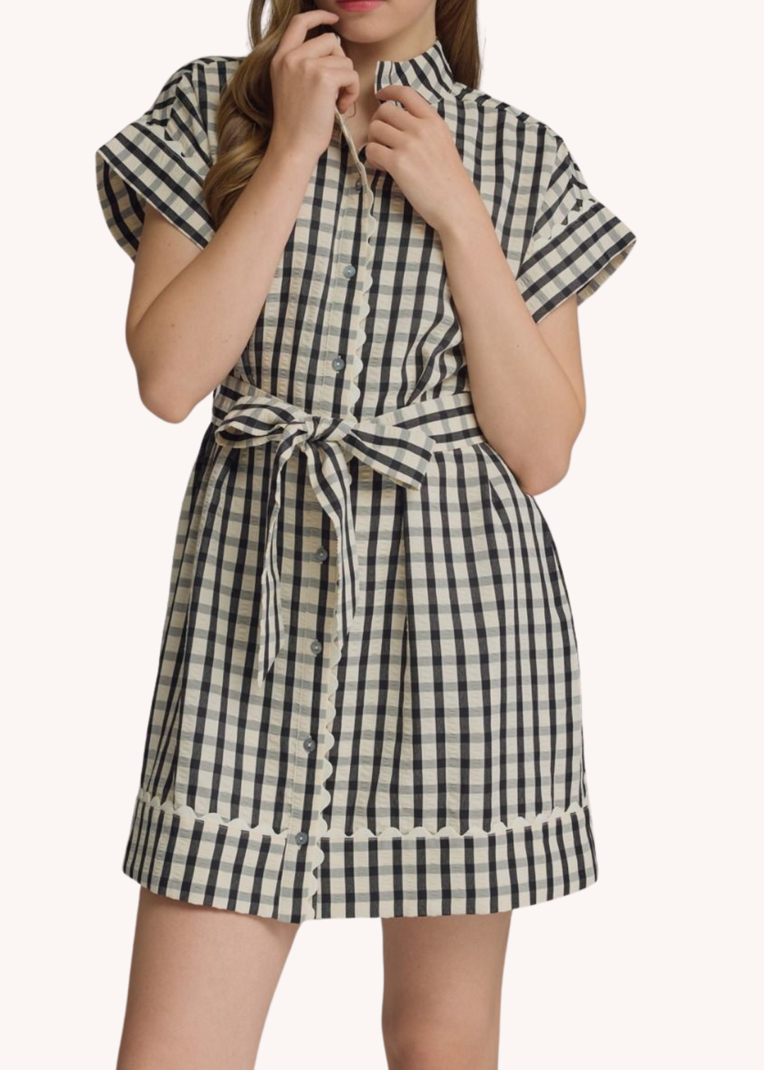 Madeline Gingham Mini Dress in Black