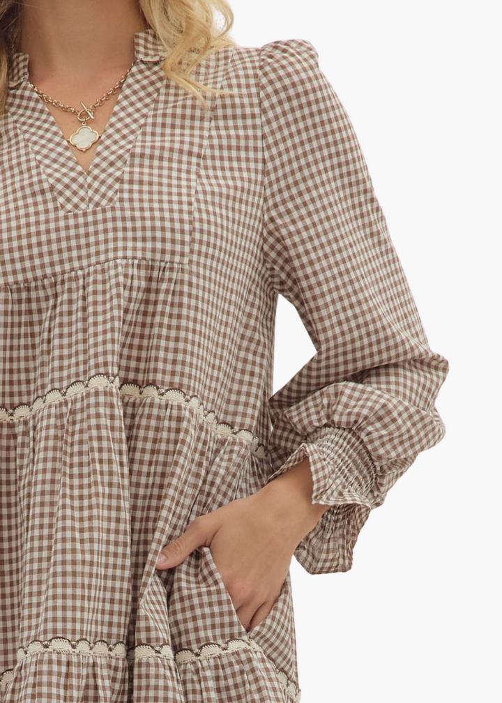 Harriet Mini Dress in Brown