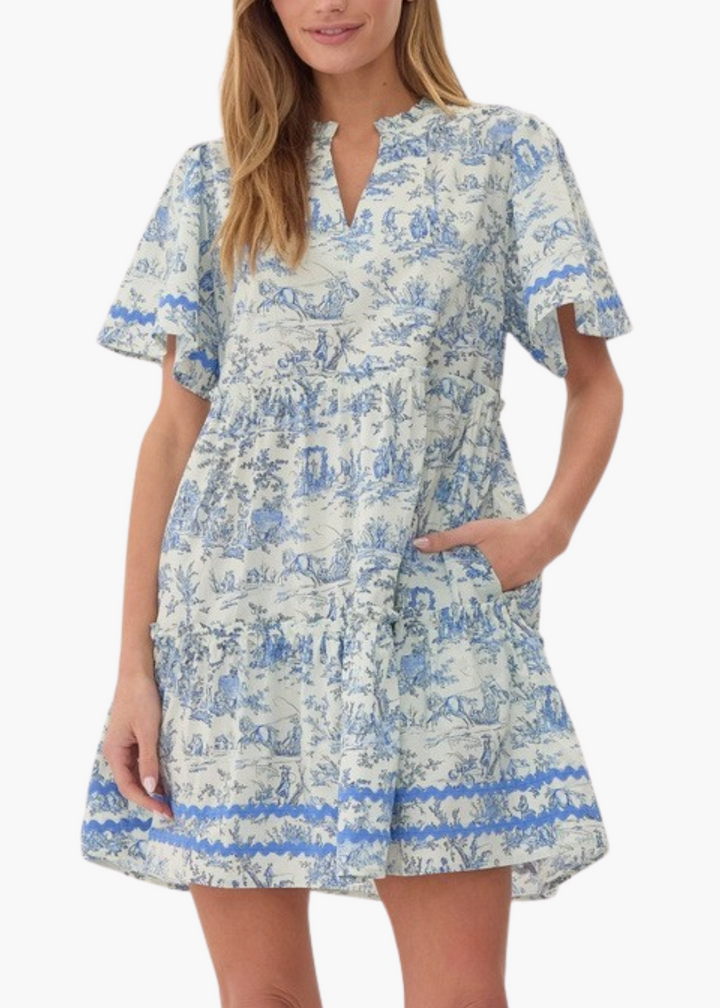 Toile Mini Dress in Blue