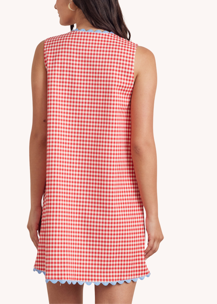 Lincoln Shift Dress in Red