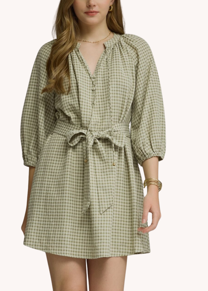 Anderson Mini Dress in Sage
