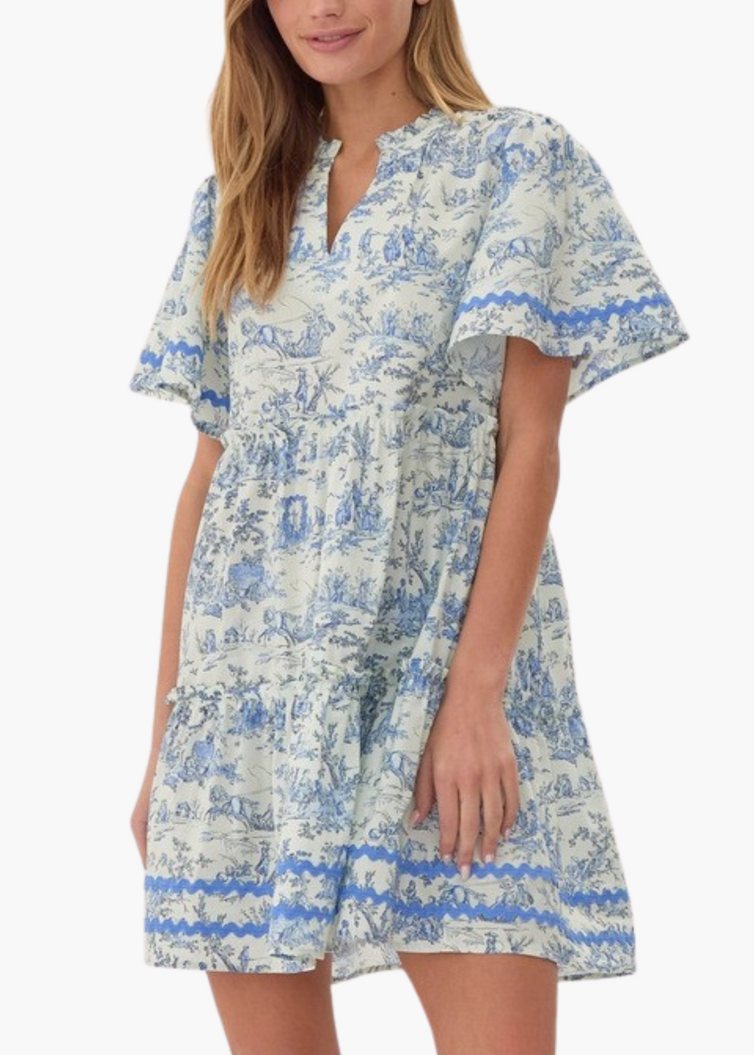 Toile Mini Dress in Blue