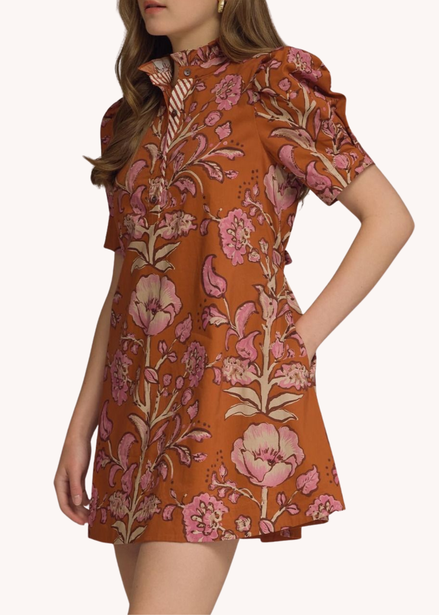 Abigail Mini Dress in Rust