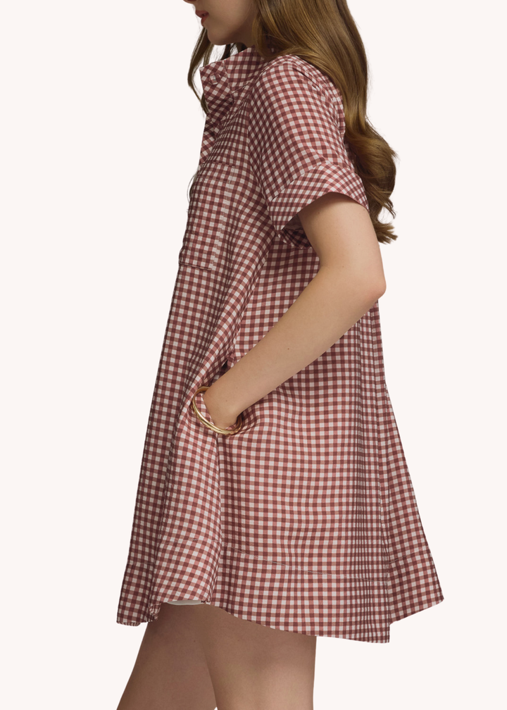 Ginna Mini Dress in Brick