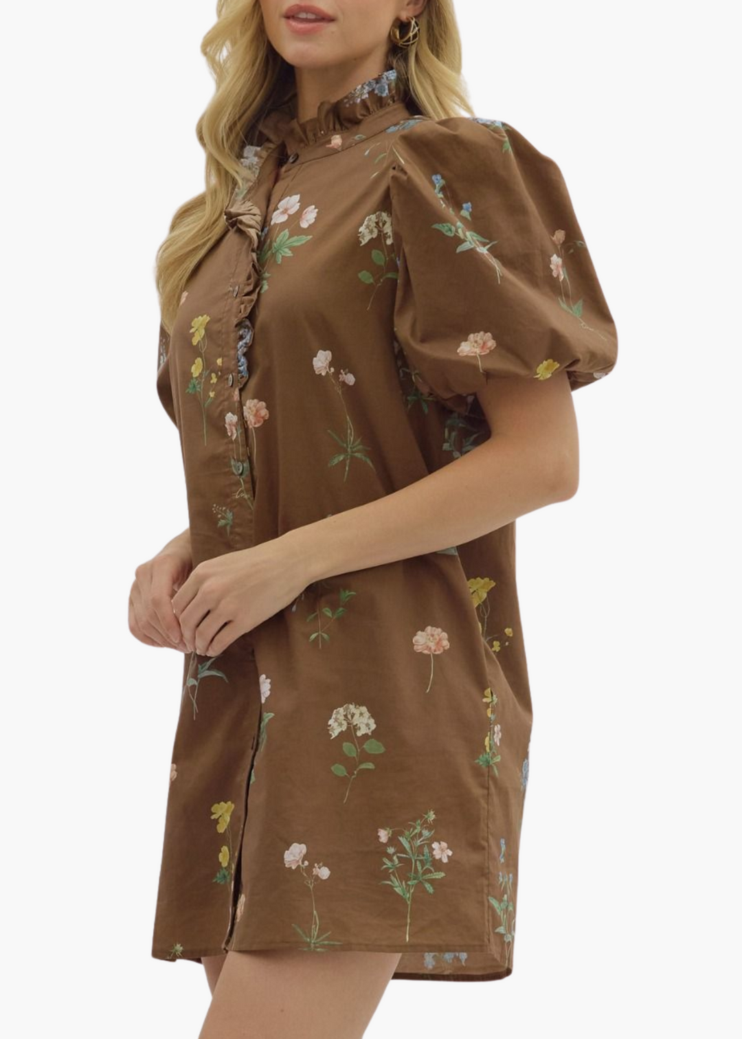 Madison Mini Dress in Brown