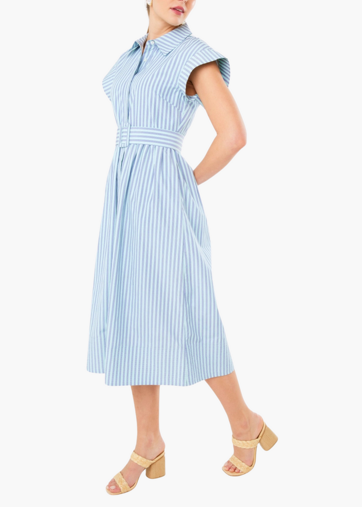Harper Dress in Periwinkle Stripe Cotton