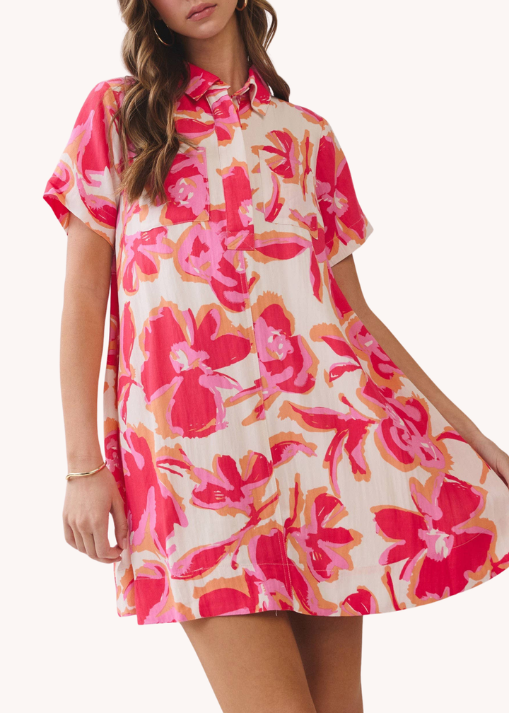 Leighton Mini Shirt Dress