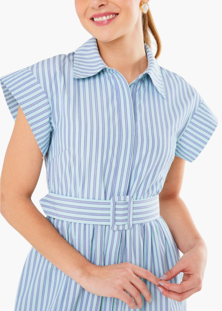 Harper Dress in Periwinkle Stripe Cotton
