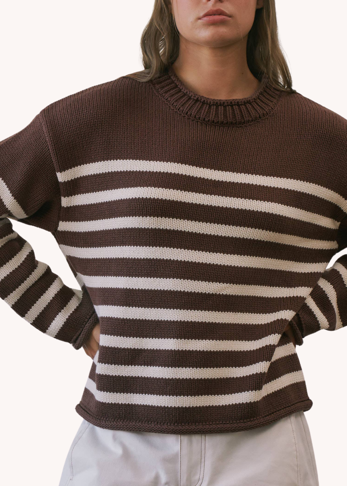 Striped Roll Neck Sweater in Chocolate