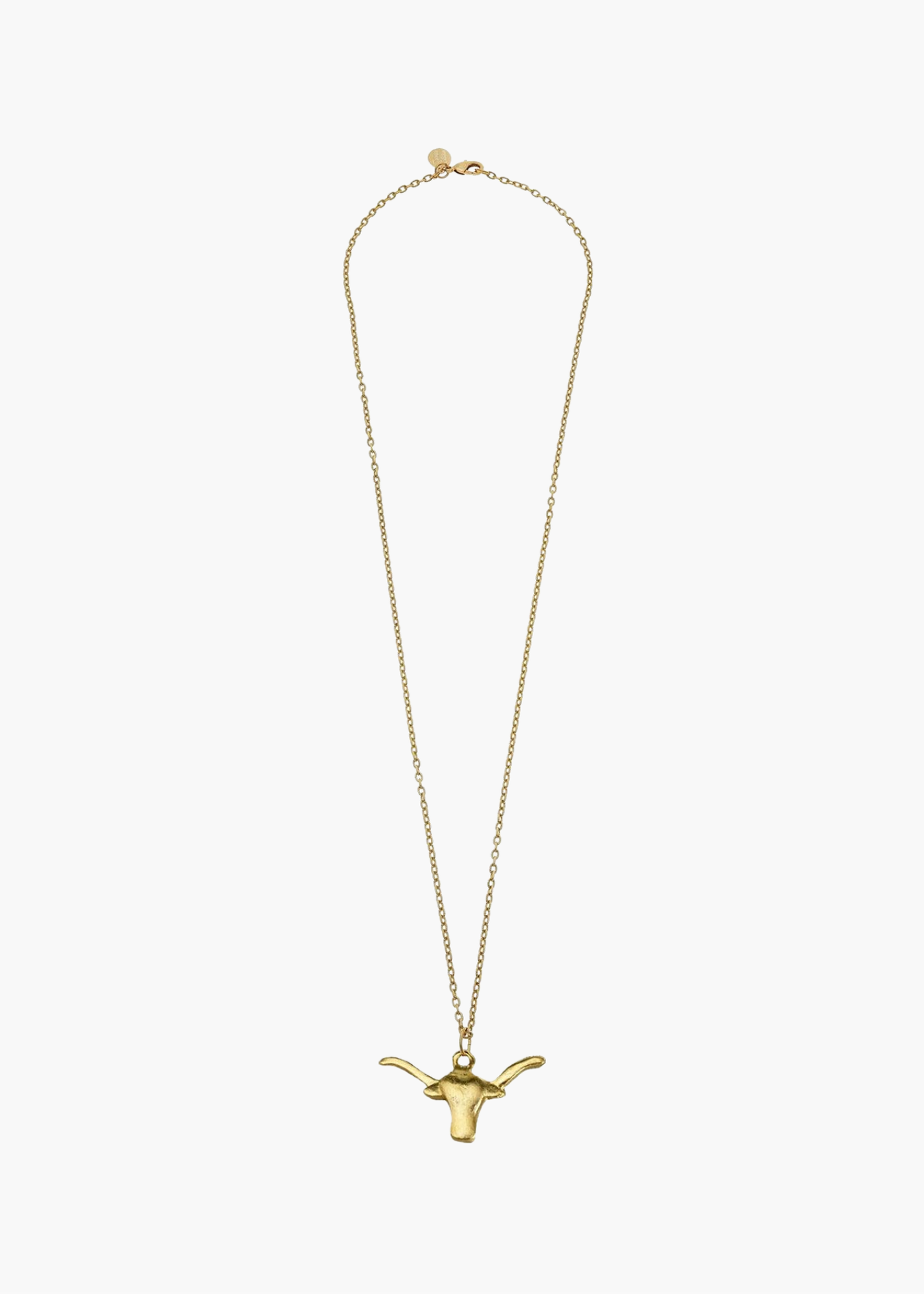 Long Longhorn Necklace