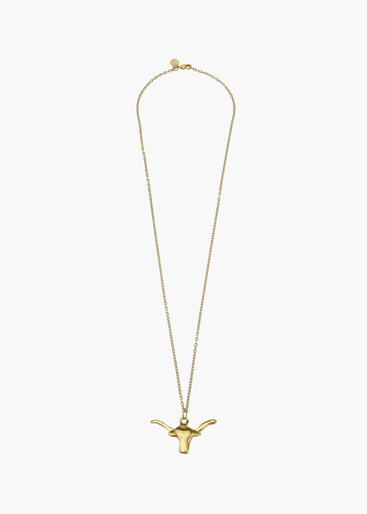 Long Longhorn Necklace