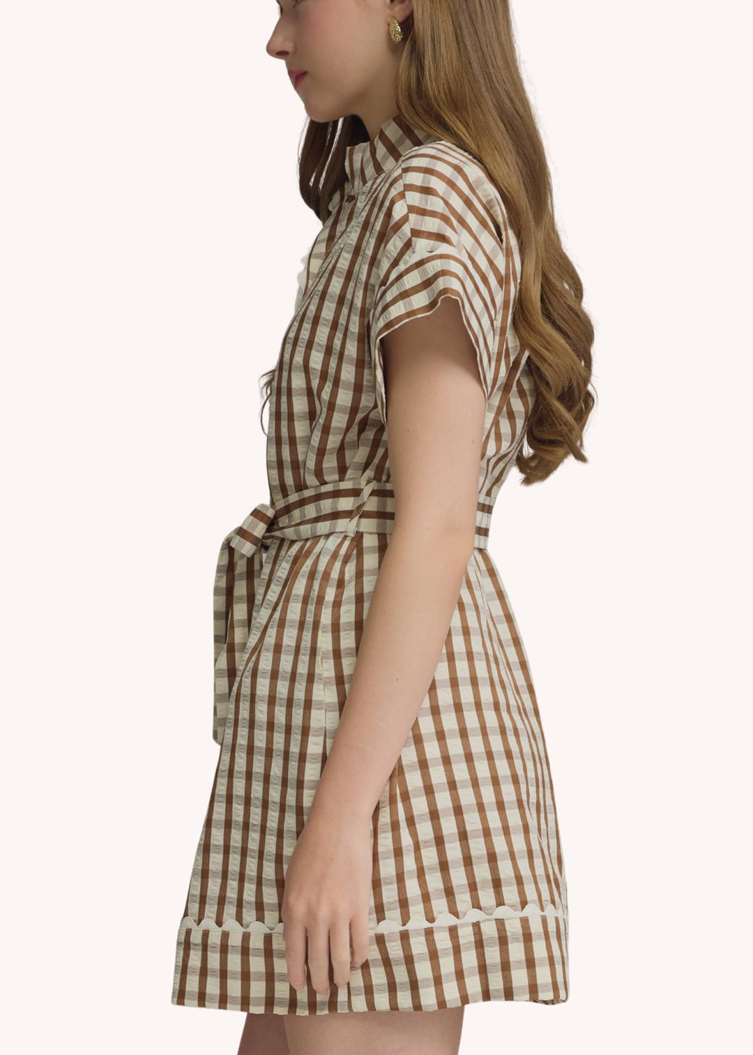 Madeline Gingham Mini Dress in Brown L