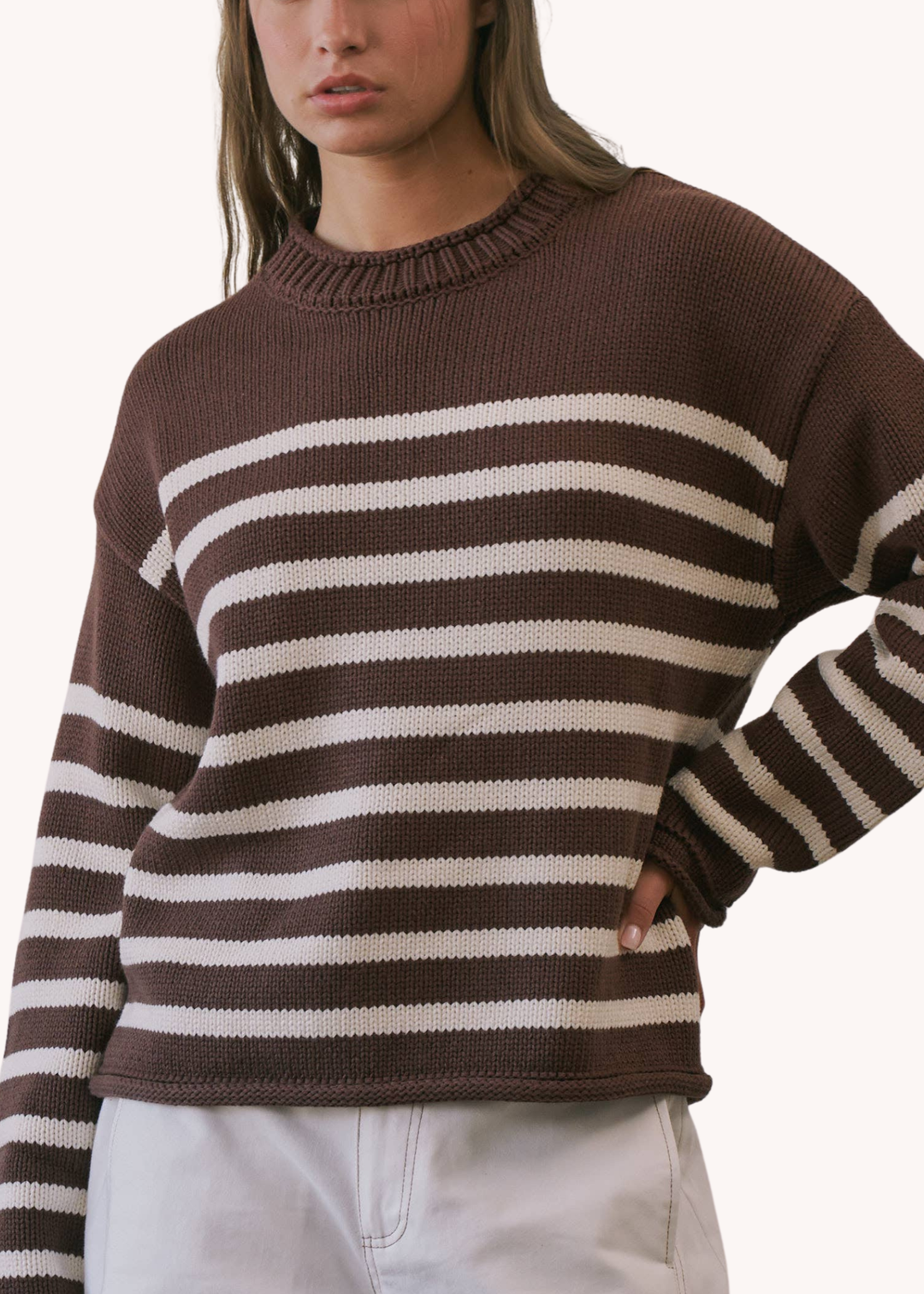 Striped Roll Neck Sweater in Chocolate