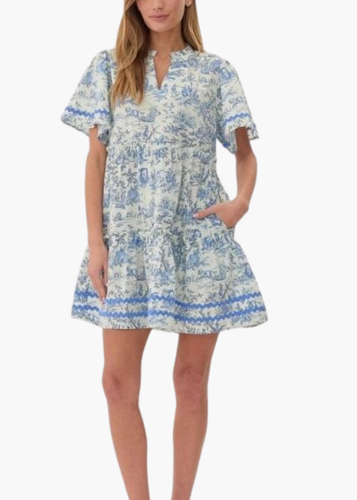 Toile Mini Dress in Blue