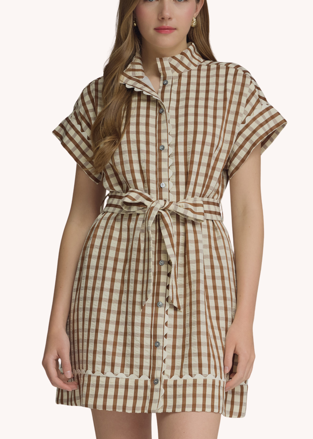 Madeline Gingham Mini Dress in Brown L