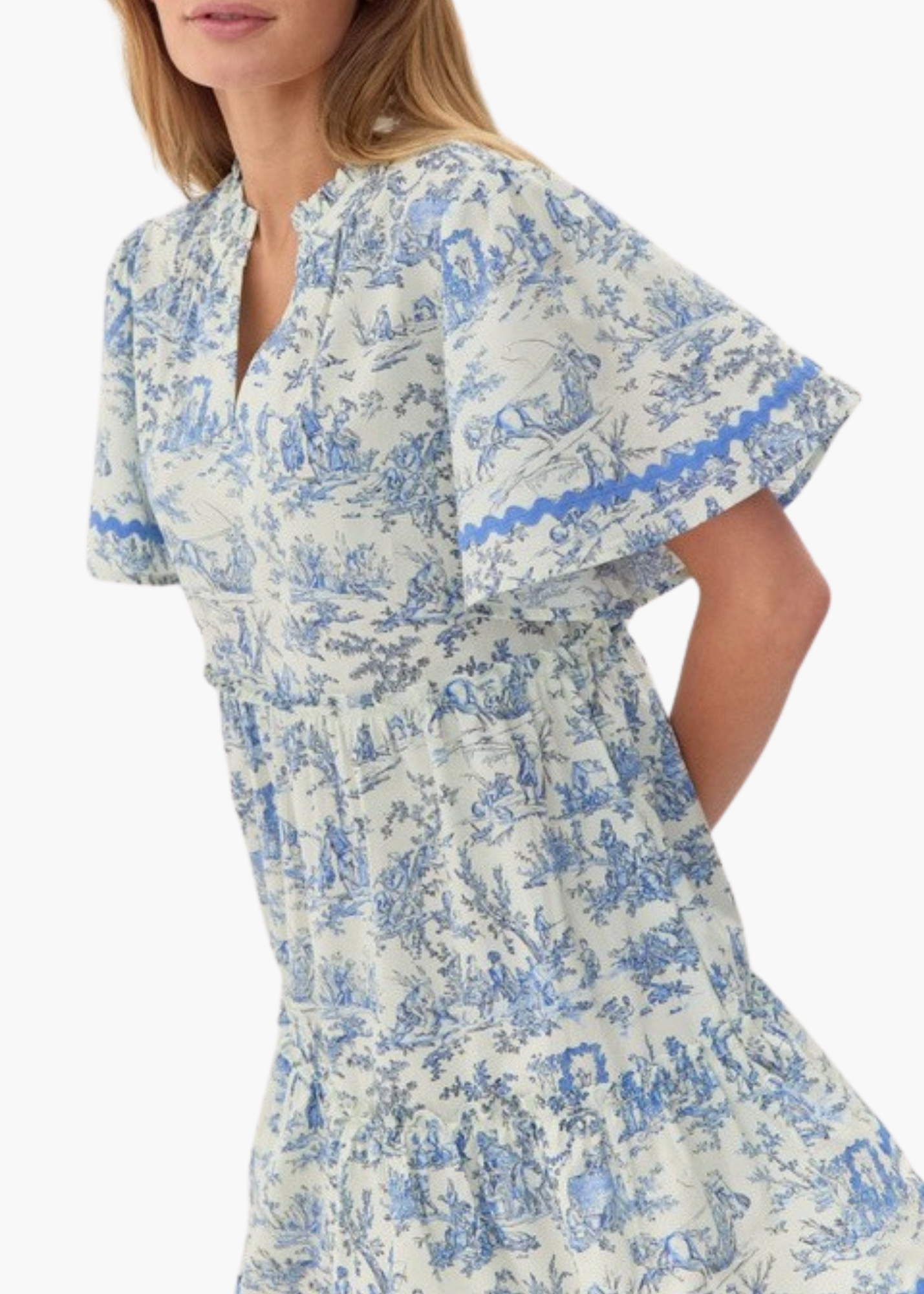 Toile Mini Dress in Blue