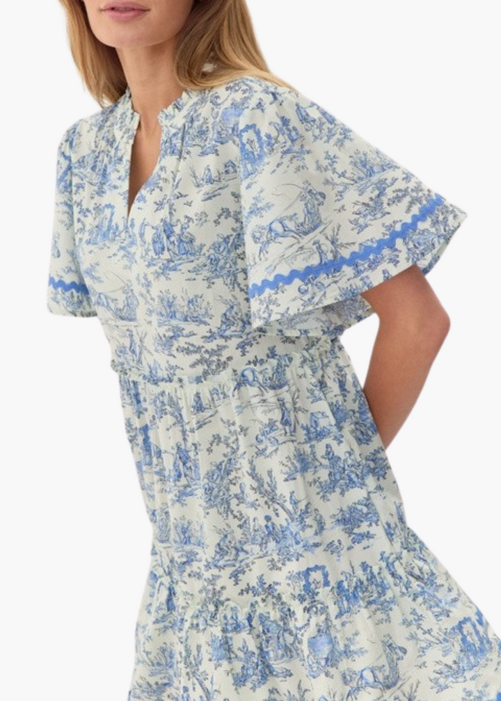 Toile Mini Dress in Blue