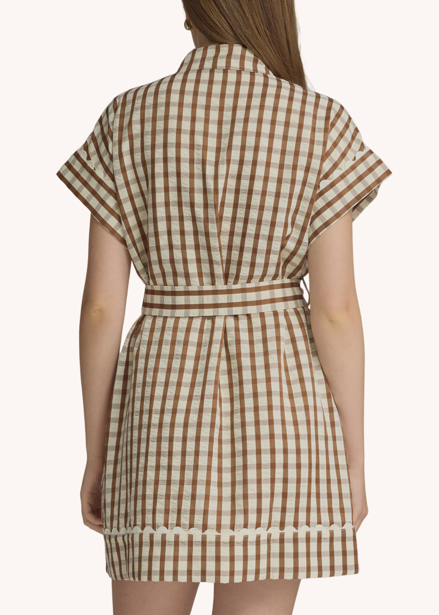 Madeline Gingham Mini Dress in Brown