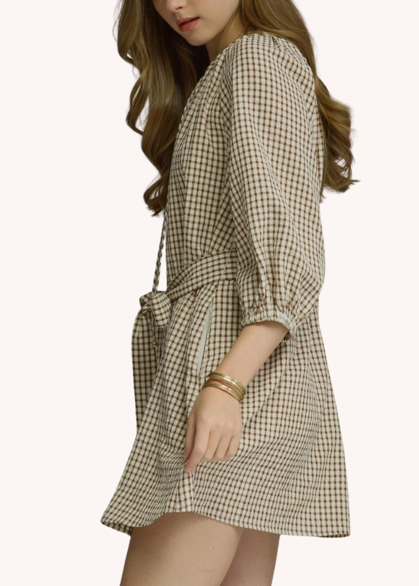 Anderson Mini Dress in Brown