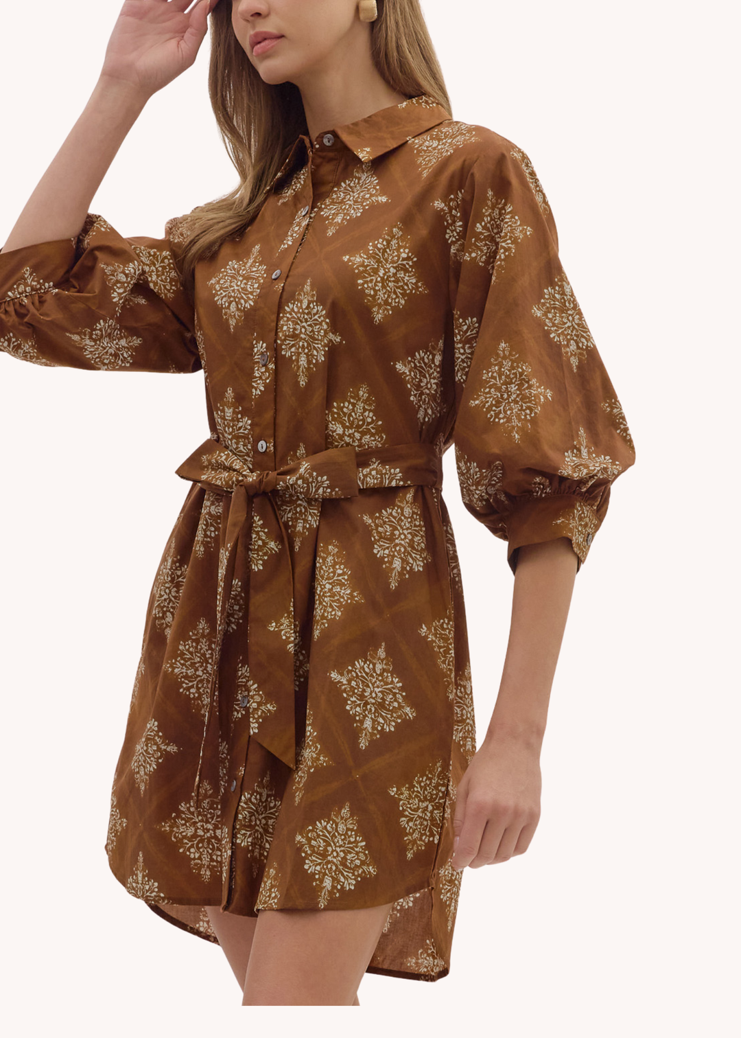 Millie Dress in Brown