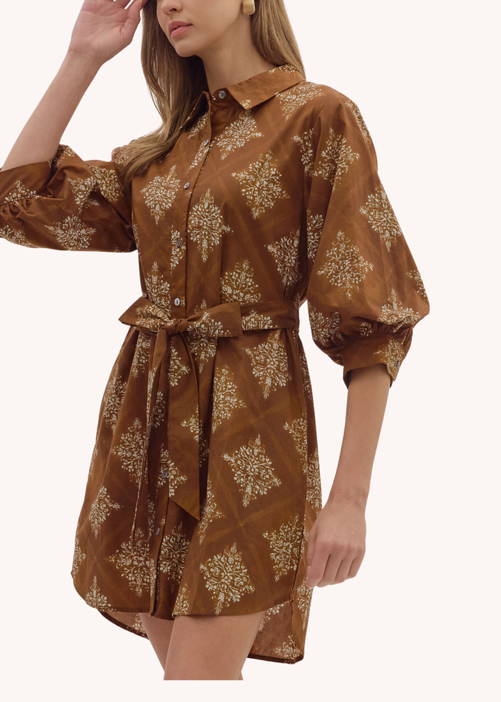 Millie Dress in Brown