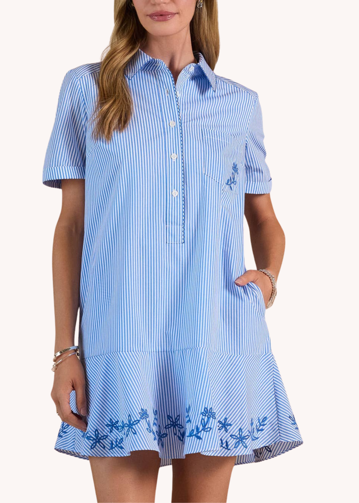 Striped Embroidered Mini Shirt Dress