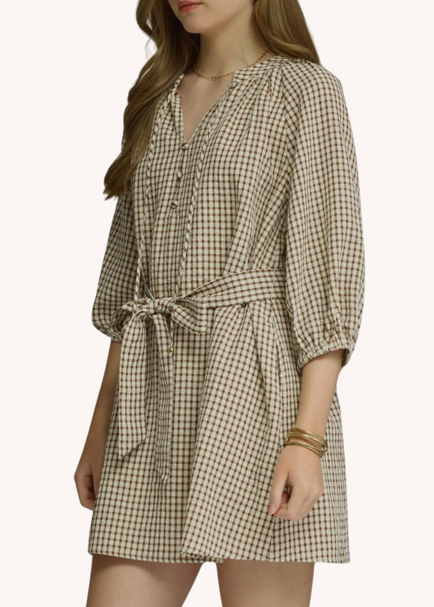 Anderson Mini Dress in Brown
