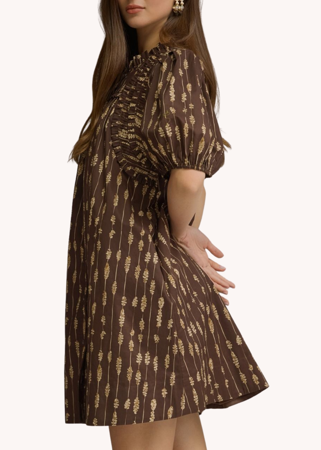 Collins Smocked Cotton Mini Dress in Brown S