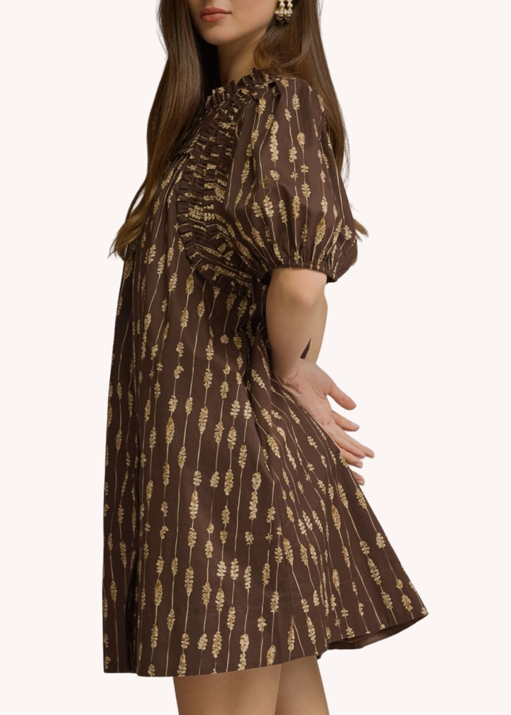 Collins Smocked Cotton Mini Dress in Brown