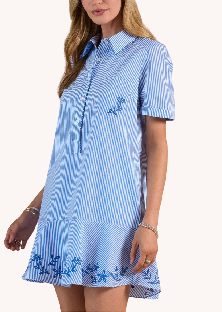 Striped Embroidered Mini Shirt Dress