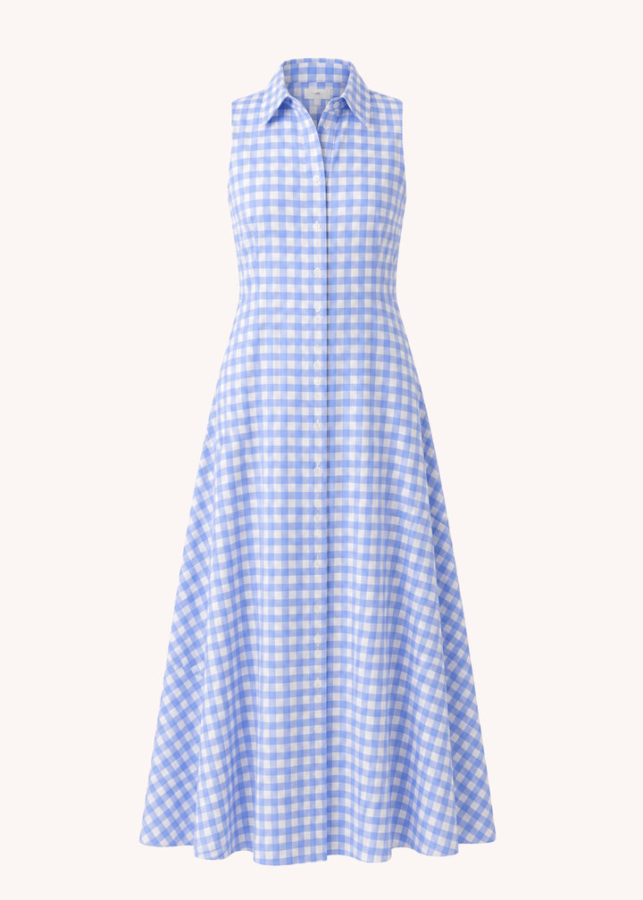 Gene Gingham Button-Front Maxi Dress