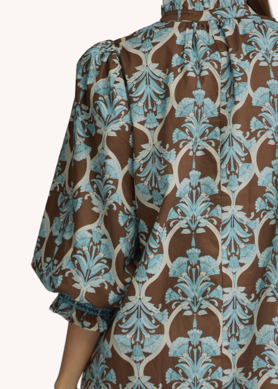 D34099 in Brown