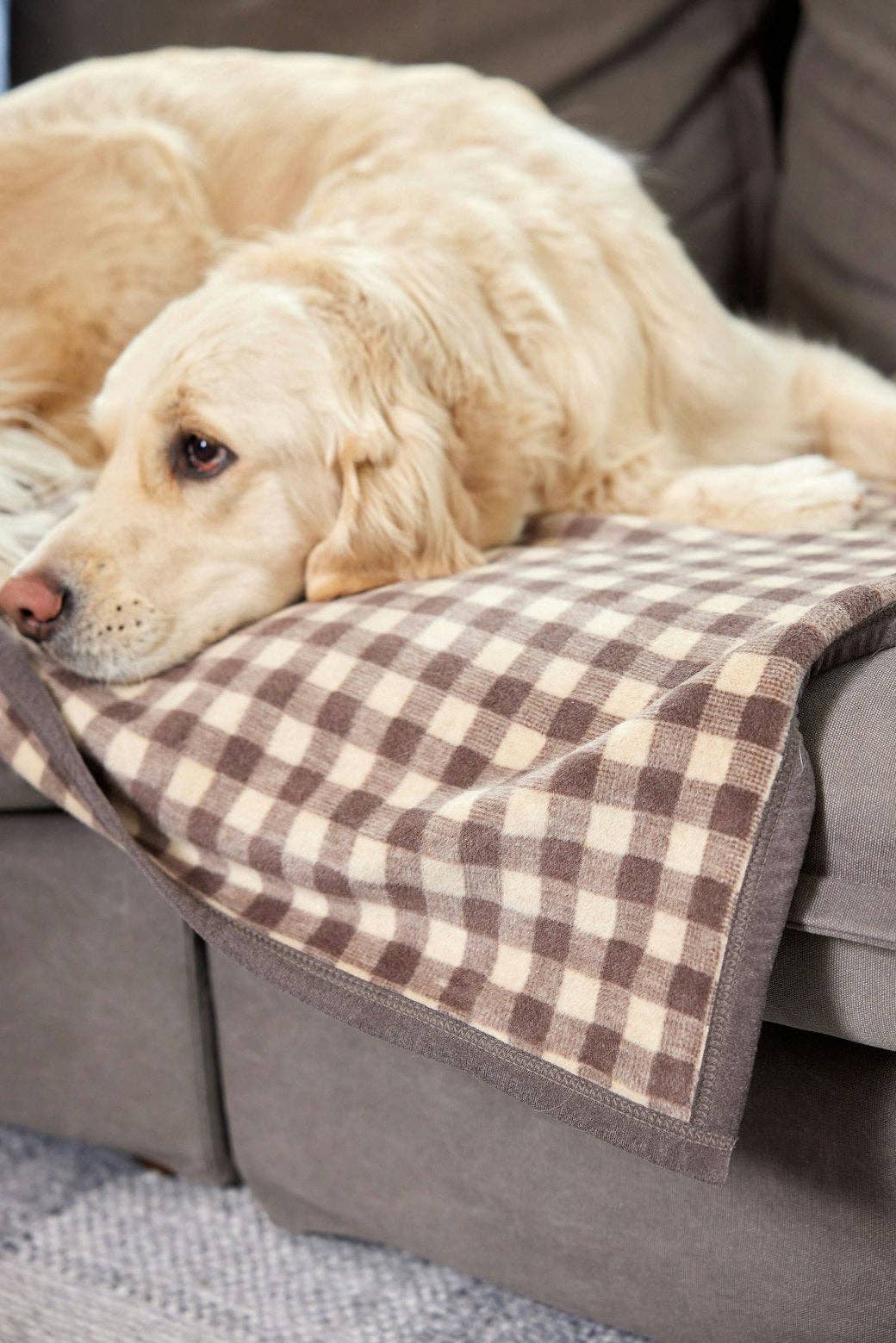 Chappy Wrap Midi Blanket in Gingham Mocha