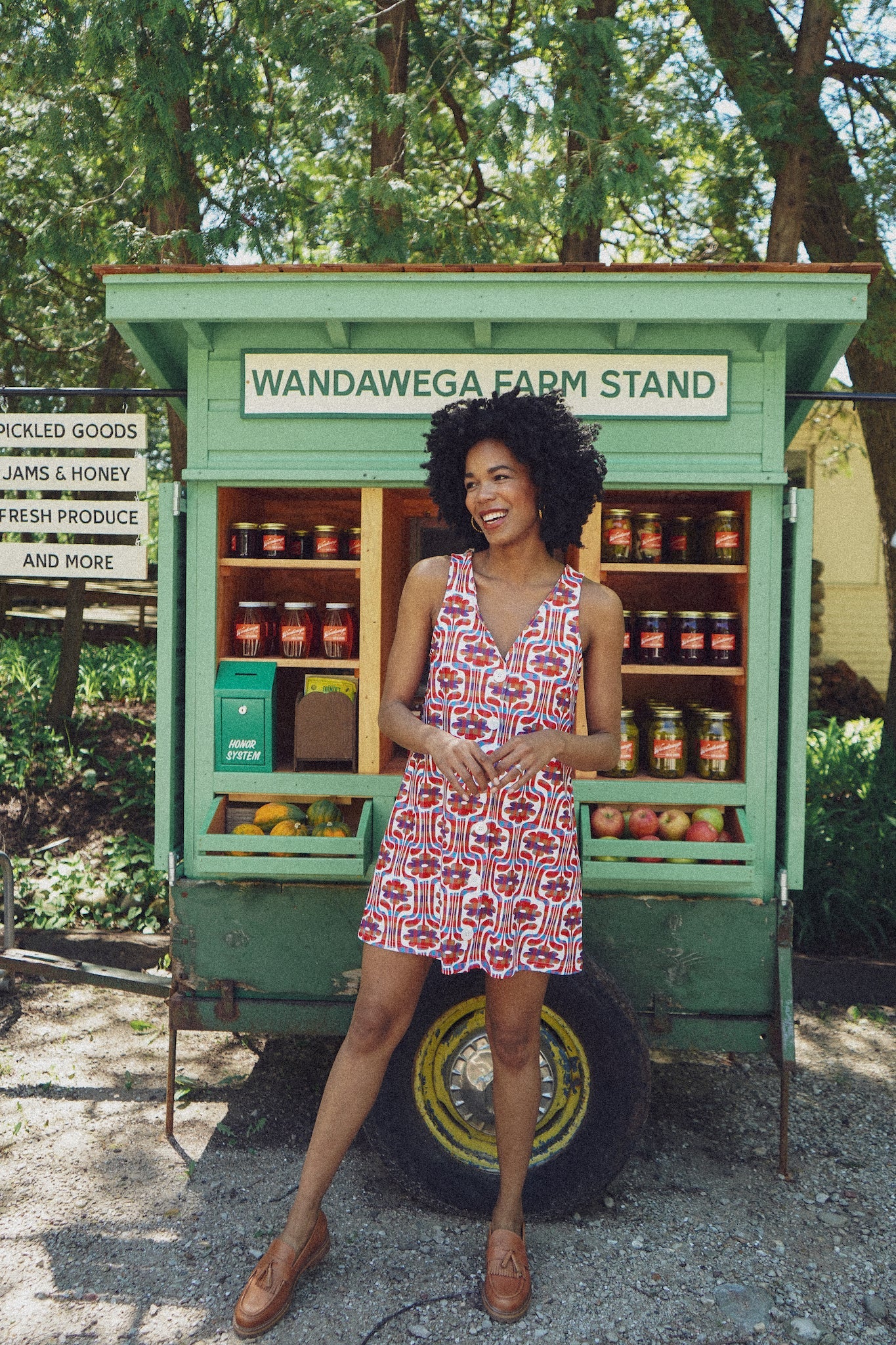 Dorothy Dress in Plaid Daisy